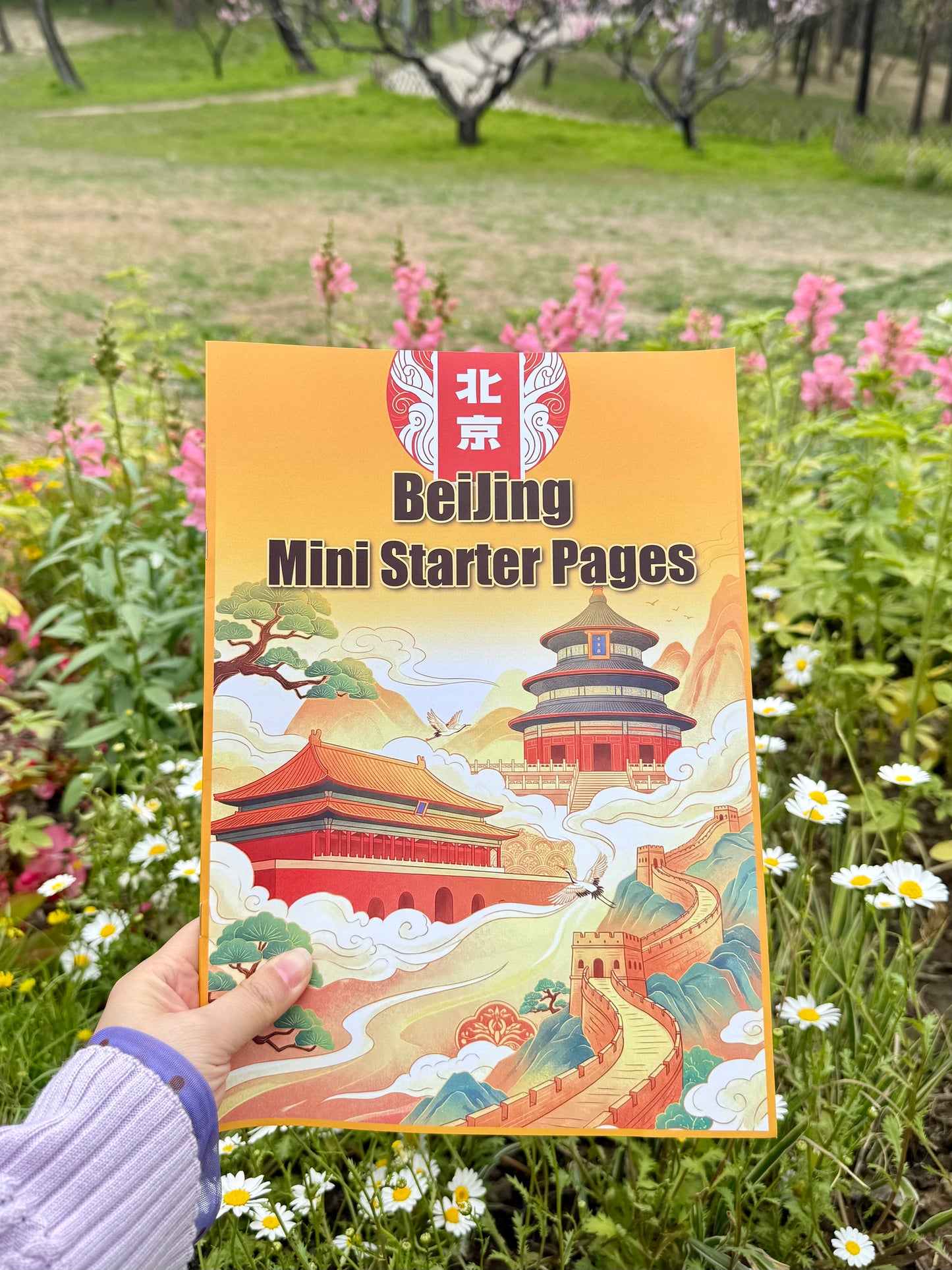 Beijing Mini Starter Pages